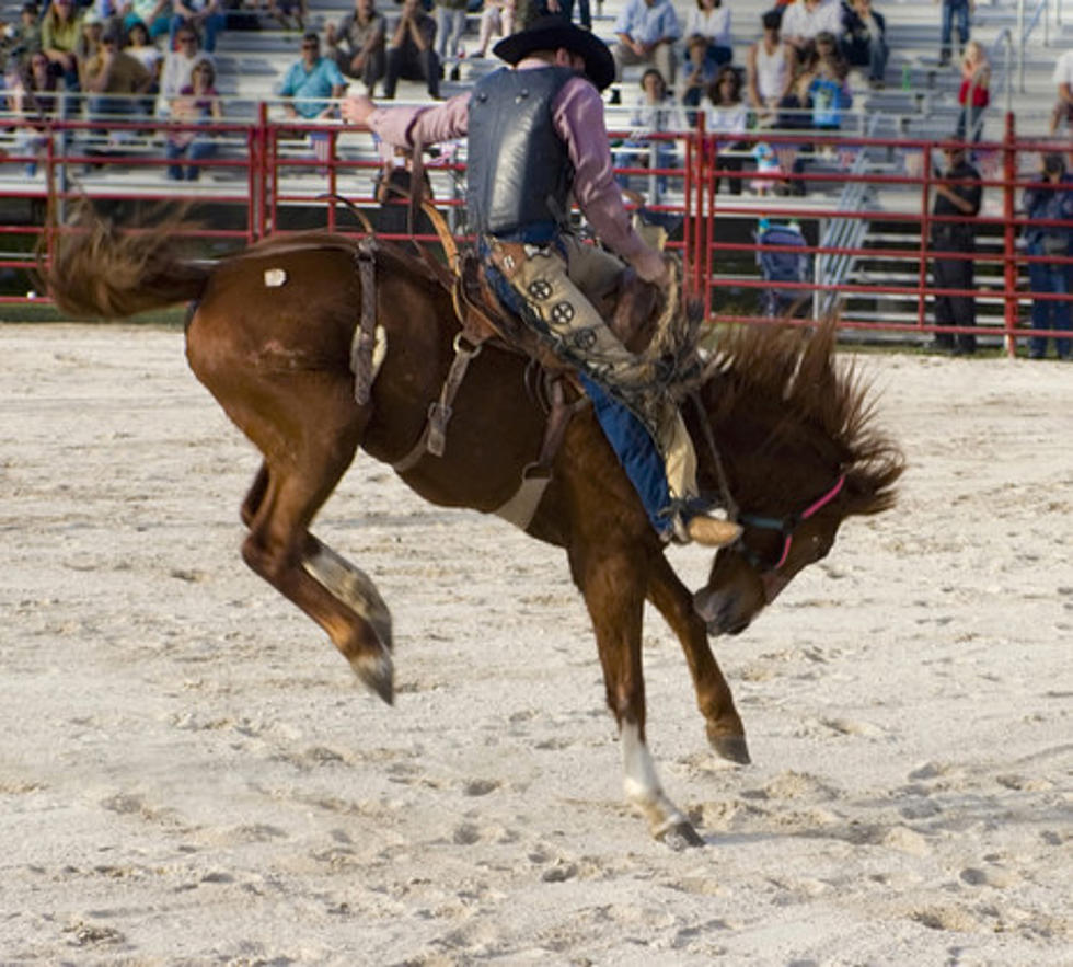 2nd Annual Rodeo Showdown At Damaschke Field, Oneonta