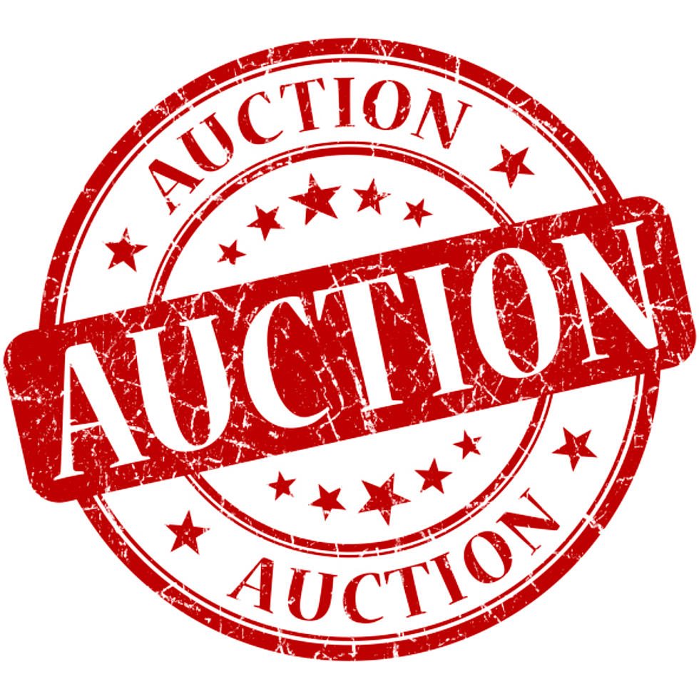 Greater Oneonta Historical Society&#8217;s Benefit Auction Coming Friday