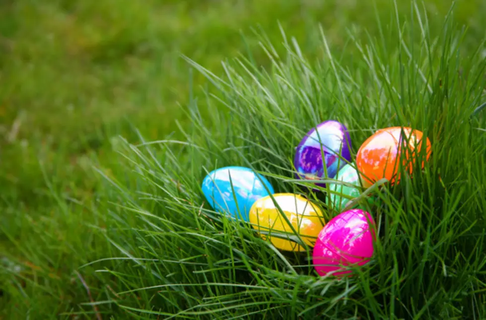 OWL Spring Egg Hunt Is Coming