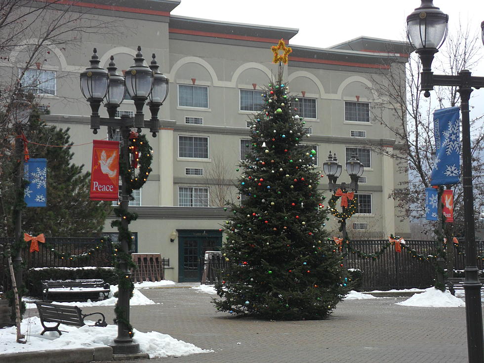 Oneonta Holiday Events Are Coming