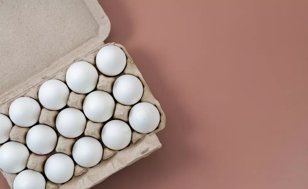 Here’s How To Participate In This Exciting Egg Drop Competition