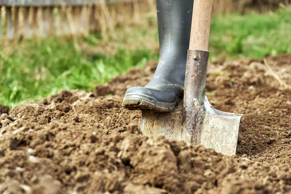 April is National Safe Digging Month