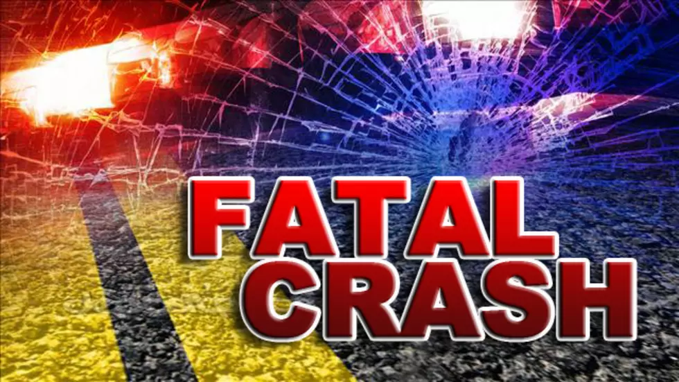 Delaware Opportunities Executive Director Killed In Car Crash
