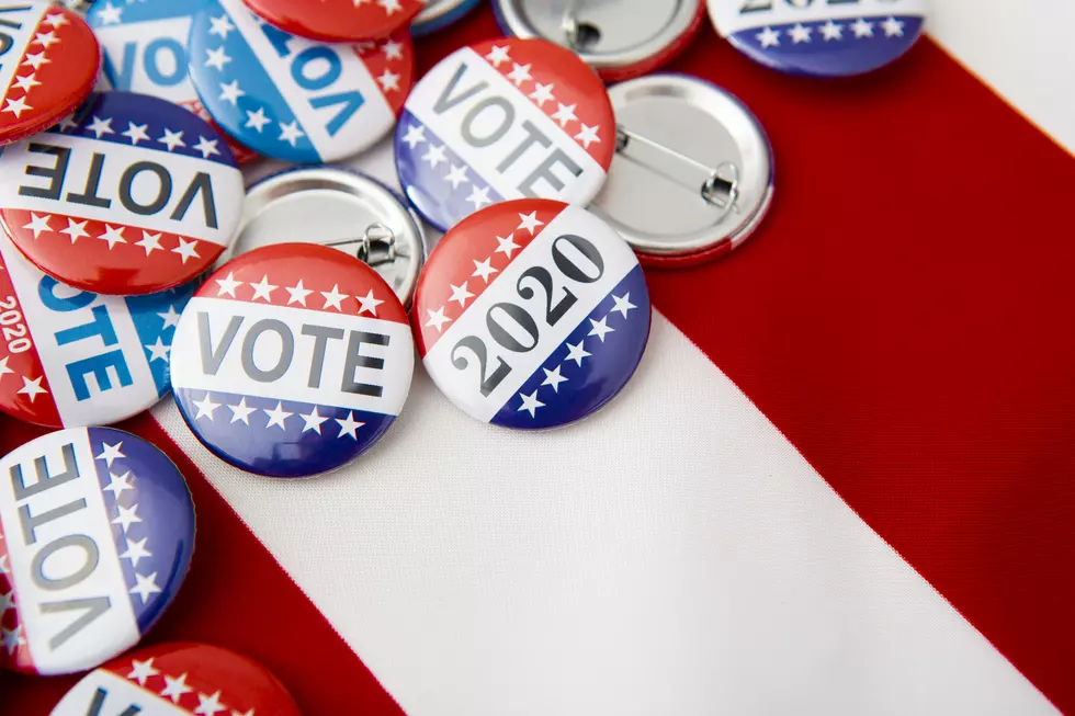 Get Ready For Election Day November 2: Here Are Otsego County and Oneonta Races