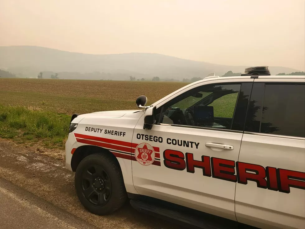 Otsego County, New York Sheriff and Administrator Disagree on Study