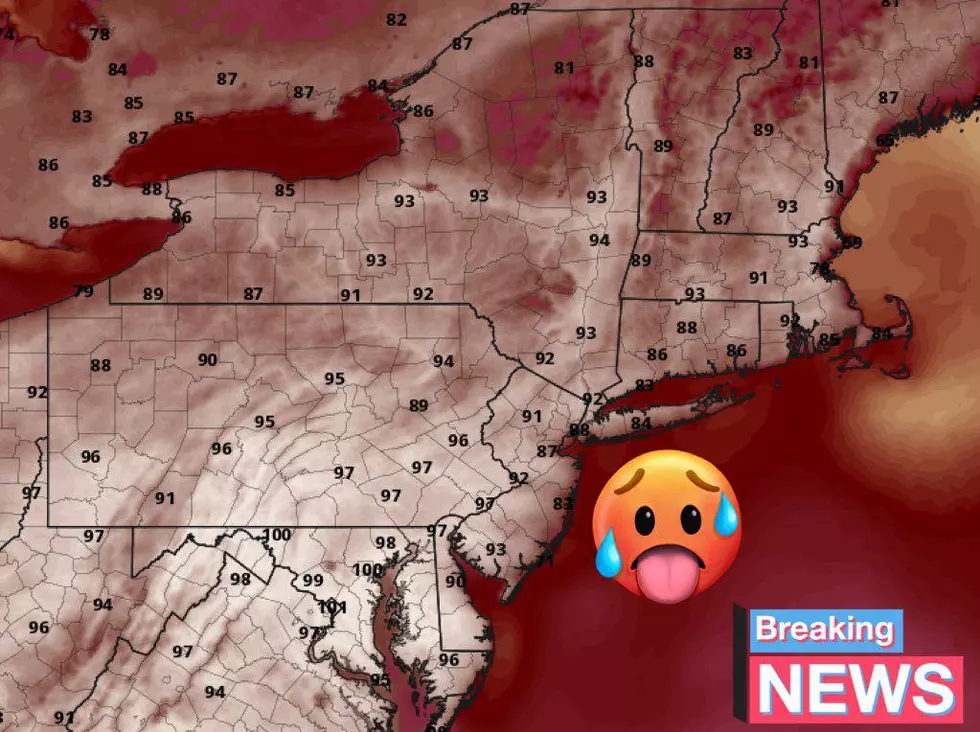 Heat Advisory in Effect for Otsego County, New York