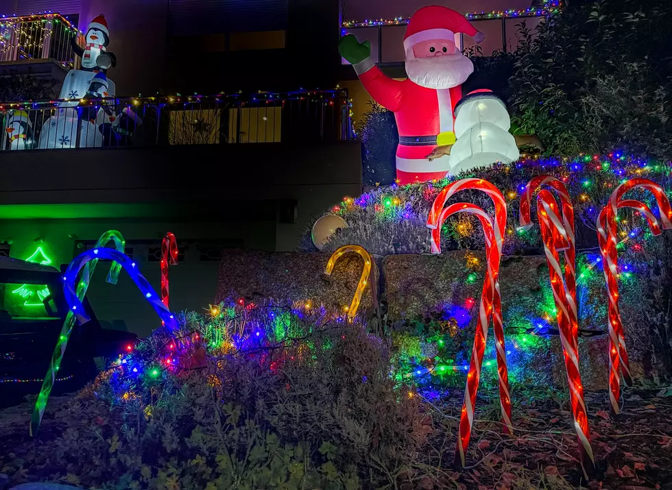 Spreading Holiday Cheer in 2024